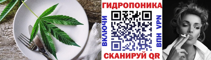 Купить закладки  Новоузенск  Еда ТГК конопля 